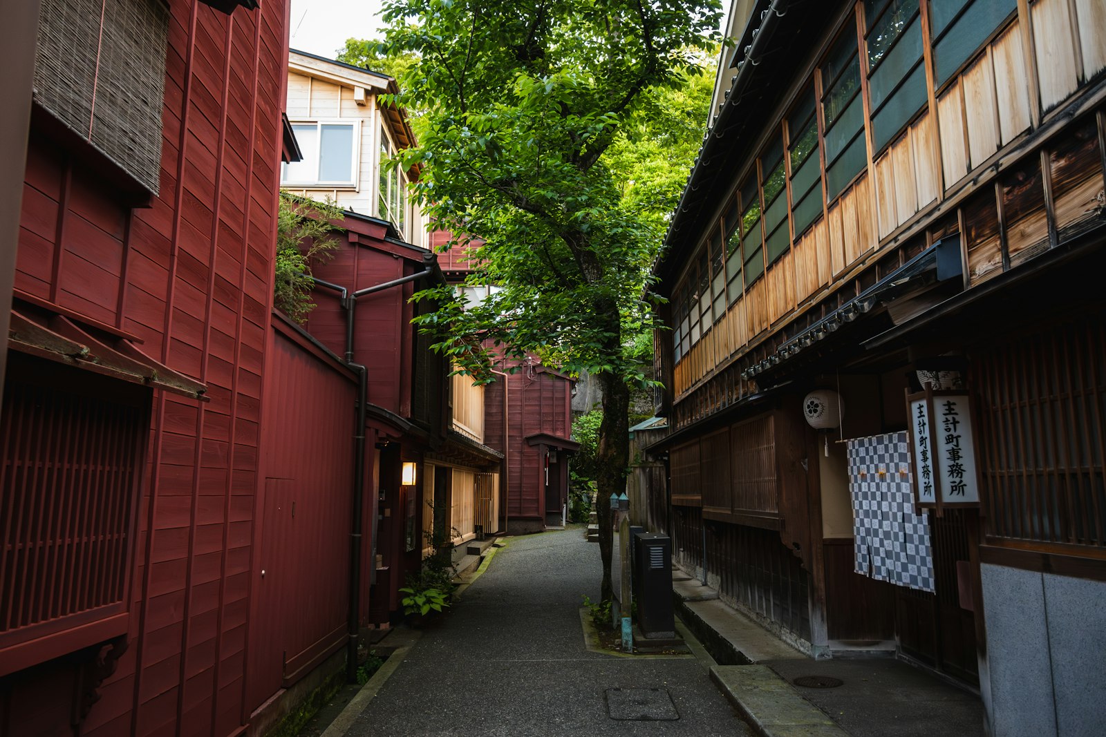 雨の茶屋街、和傘での一枚
